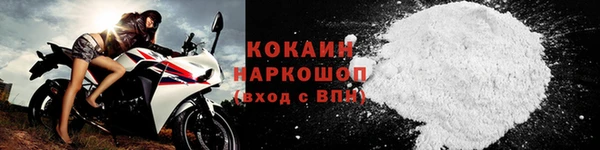 стаф Россошь