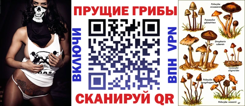 Галлюциногенные грибы Psilocybe  продажа наркотиков  Бежецк 